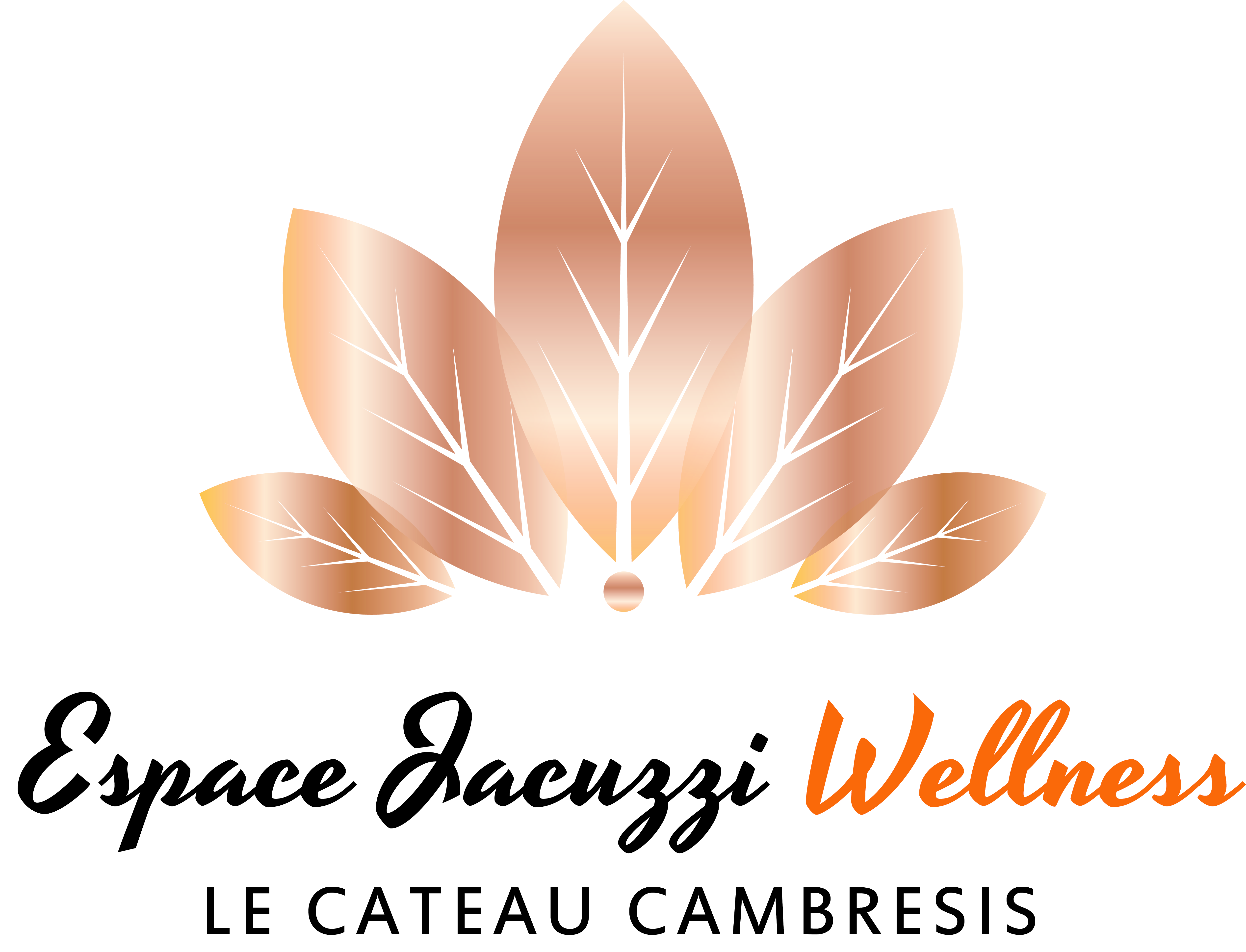 Logo ESPACE JACUZZI WELLNESS