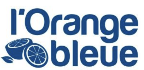 Logo L'ORANGE BLEUE MESLAY DU MAINE