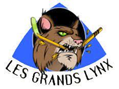 Logo AIR LES GRANDS LYNX