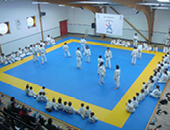 al-judo-langueux-photo.jpg