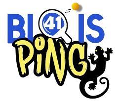 Logo BLOIS PING 41