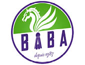 Logo BAYARD ARGENTAN BADMINTON
