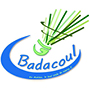 Logo BADACOUL
