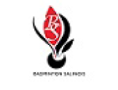 Logo BADMINTON SALINOIS