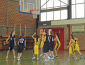 basket-club-winglois-photo.jpg