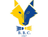 Logo BLOIS BADMINTON CLUB
