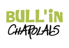 Logo BULL'IN FITNESS