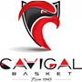 Logo CAVIGAL NICE BASKET 06