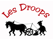 Logo CENTRE EQUESTRE DES DROOPS