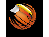 Logo CHATEAUNEUF BASKET BALL