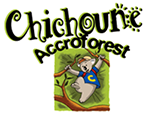 Logo CHICHOUNE ACCROFOREST