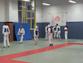 ctam-taekwondo-photo.jpg