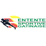 Logo ENTENTE SPORTIVE GATINAISE