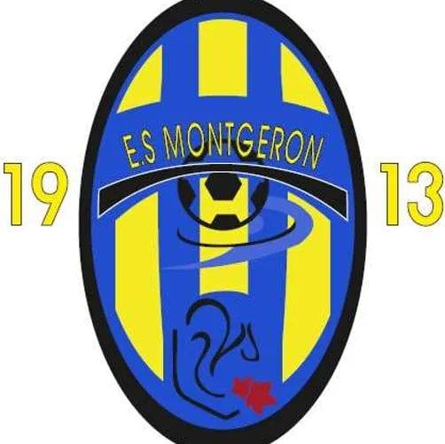Logo ENTENTE SPORTIVE MONTGERON FOOTBALL