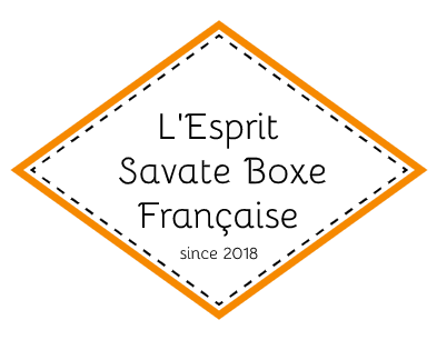 Logo L'ESPRIT SAVATE BOXE FRANCAISE