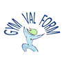 Logo GYM VAL FORM