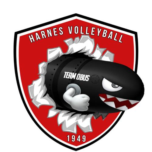Logo HARNES VOLLEY BALL