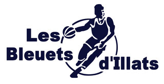 Logo LES BLEUETS D'ILLATS