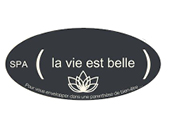 Logo LA VIE EST BELLE