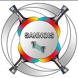 Logo OS SANNOIS TENNIS DE TABLE