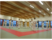 photo-judo-club-lestremois.jpg