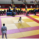 shotokan-karate-jouy-le-moutier--photo1.jpg