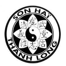Logo VIET VO DAO THANH LONG SON HAI VANVES