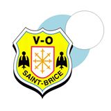 Logo VAILLANTE OMNISPORTS